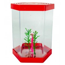 9825 - BETEIRA KIT COMPLETO MR.PET