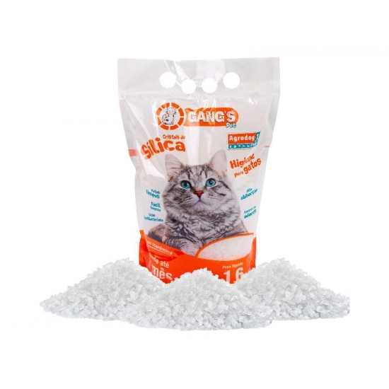 AREIA SILICA GANGS PET