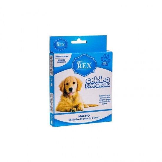 COLEIRA REX MACHO PEQUENA
