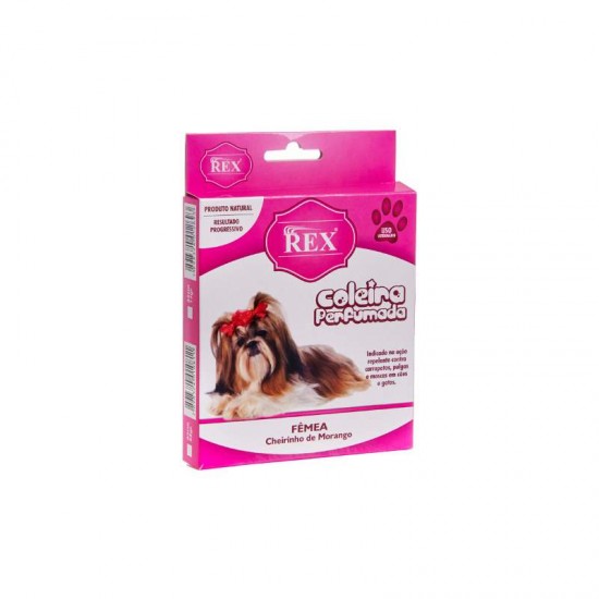 COLEIRA REX FEMEA PEQUENA