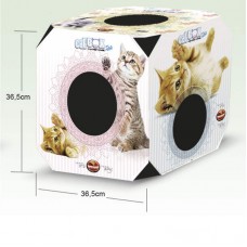 38742 - CAT BOX FILHOTE FURACAOPET