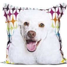 37561 - ALMOFADA SS PETS RACA 45X45 - POODLE