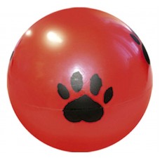 14919 - BOLA LIDER PET P (934)