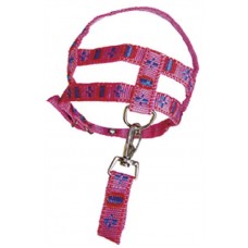 10470 - CONJ.GUIA PEITORAL FANTASIA POP 0 D&G 