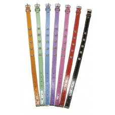 2310 - COLEIRA COLOR.FORR.GANG´S STAR N.0 C/6