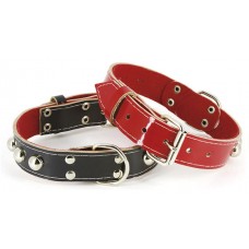 403 - COLEIRA COURO FORRADA C/CRAVO TATI N.5