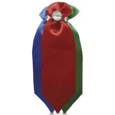 30523 - GRAVATA RPG PET 10 CX.C/30