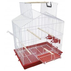 4428 - GAIOLAO TRIPLEX PAPAG/CALOPS.MANSOS