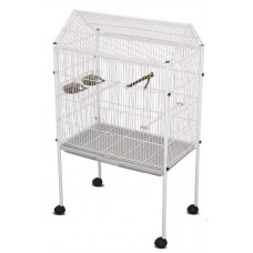 10812 - VIVEIRO BRAGANCA CHALE