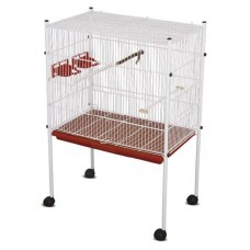 10813 - VIVEIRO BRAGANCA RETO