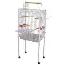 3698 - VIVEIRO AMAZONAS PAPAGAIO M.LARG.BRAGANC