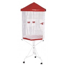 10814 - VIVEIRO BRAGANCA SEXTAVADO MF