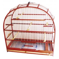 10108 - GAIOLA ROSSA CURIO MOGNO