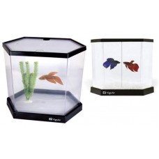 15748 - KIT BETEIRA 5.5  VIGO AR