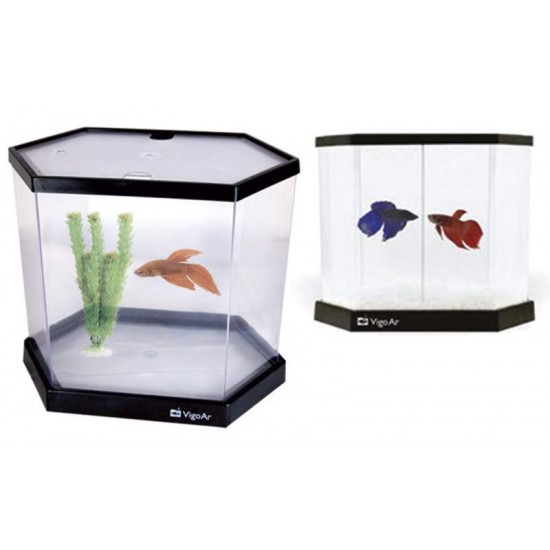 KIT BETEIRA 5.5  VIGO AR