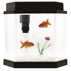 15777 - ACQUAKIT 2.0 110V VIGO AR