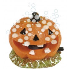 27837 - ENFETE ABOBORA COM PEDRA POROSA(5X5) VIGO AR