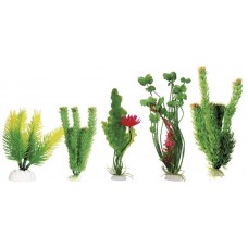 15701 - PLANTA PLASTICA 10CM DE ALTURA VIGO AR