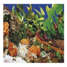 9786 - PAINEL AGUA DOCE N.1 STILL PET