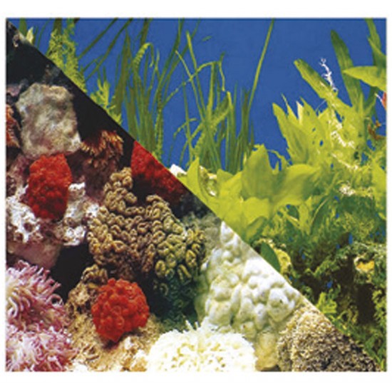 PAINEL AGUA DOCE N.2 STILL PET