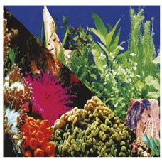 9795 - PAINEL AGUA DOCE N.3 STILL PET