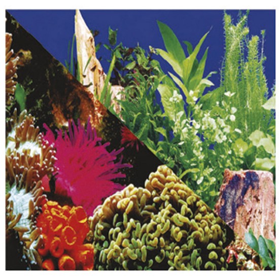 PAINEL AGUA DOCE N.3 STILL PET