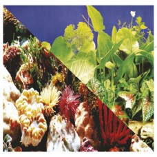 9810 - PAINEL AGUA DOCE N.4 STILL PET