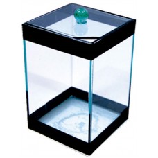 3039 - BETEIRA FAIXA PRETA SIMPLES 