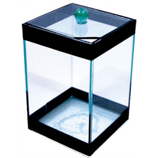 BETEIRA FAIXA PRETA SIMPLES 