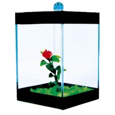 3038 - BETEIRA FAIXA PRETA DECORADA 