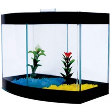 3036 - BETEIRA CURVA DUPLA DECORADA