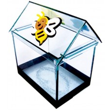 3035 - BETEIRA CASINHA N.1 SIMPLES