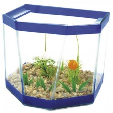 39903 - BETEIRA PLANALTO MEDIA DECORADA IMPERIUM