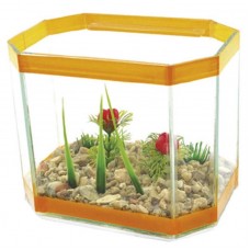 39908 - BETEIRA IPANEMA MEDIA DECORADA IMPERIUM