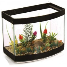 39915 - BETEIRA CURVA GRANDE DECORADA IMPERIUM