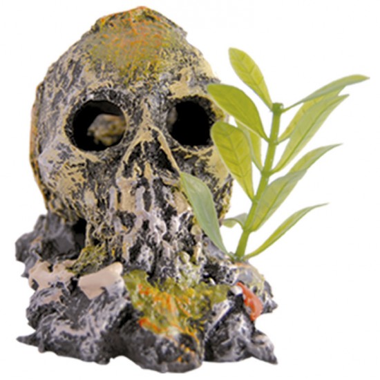 ENFEITE RESINA CAVEIRA MEDIA