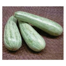 277 - SEM.FELTRIN ABOBRINHA CASERTA ITALI.C/25