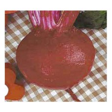 943 - SEMENTE FELTRIN BETERRABA MARAVILHA C/25