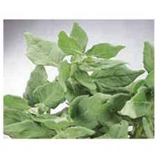 1375 - SEM.FELTRIM ESPINA NOVA ZE.VERAO C/25