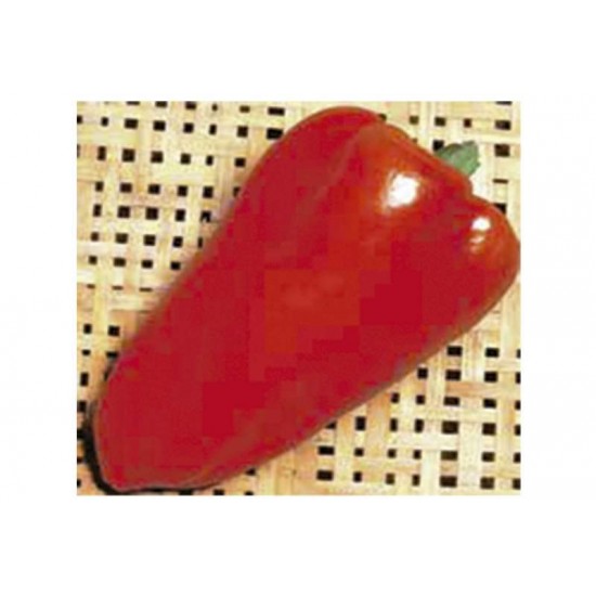 SEM.FELTRIM PIMENTAO RUBI VERMELHO GIGAN.C/25