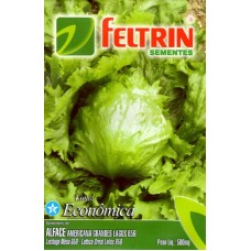 23 - SEMENTE FELTRIN ALFACE AMERICANA GRANDES