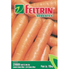 280 - SEMENTE FELTRIN CENOURA NANTES C/25