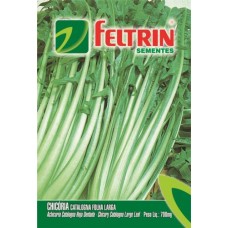 2451 - SEM.FELTRIM CHICORIA CATALOGNA F.LA.C/25