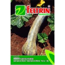 1049 - SEM.FELTRIN ABOBORA RAJADA MELHORADA C/25