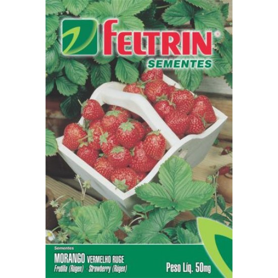 SEMENTE FELTRIN MORANGO ORNAMENTAL C/20
