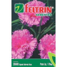 1062 - SEMENTE FELTRIN CRAVO GIGANTE ROSA C/20