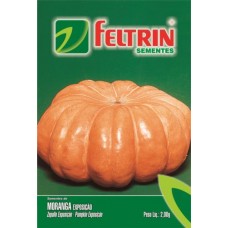2458 - SEMENTE FELTRIM ABOBORA MORANGA PCT C/25