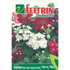 1075 - SEMENTE FELTRIN VERBENA SORTIDA C/20