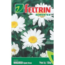 1074 - SEM.FELTRIN MARGARIDA GIG.BRANCA C/20