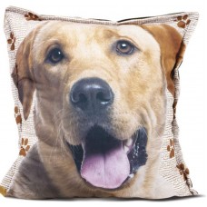 37572 - ALMOFADA SS PETS RACA 45X45 - LABRADOR